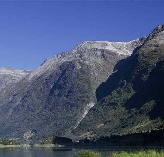 肇庆粉象生活合伙人