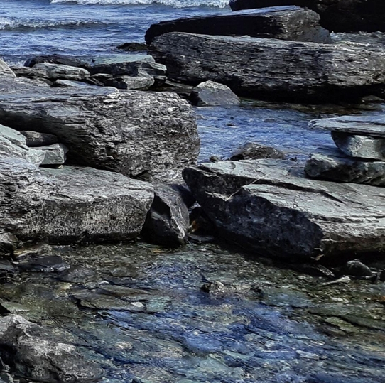 湖州正规粉象生活可靠吗