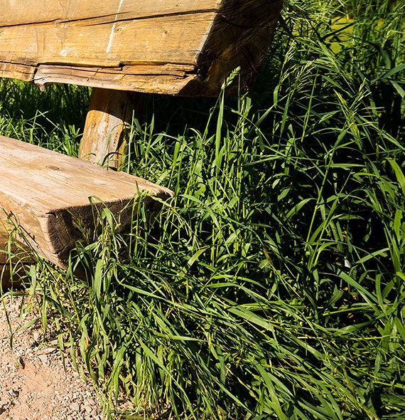 怎么入住粉象生活