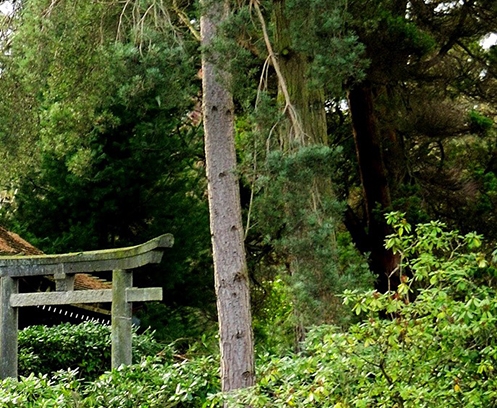 五象一站式生活购物中心