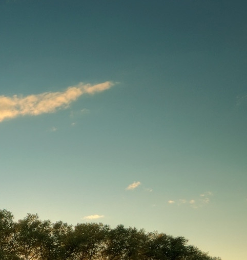 粉象生活没有邀请人