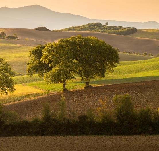 粉象生活是什么平台