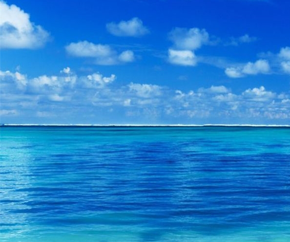 粉象生活联合创始人收益