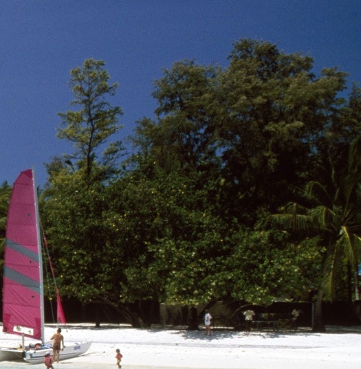 粉象生活拉一个人赚多少钱