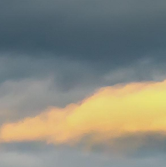 粉象生活新人福利分现金