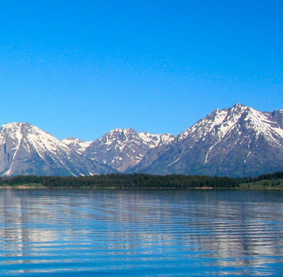 粉象生活的新手期怎么算