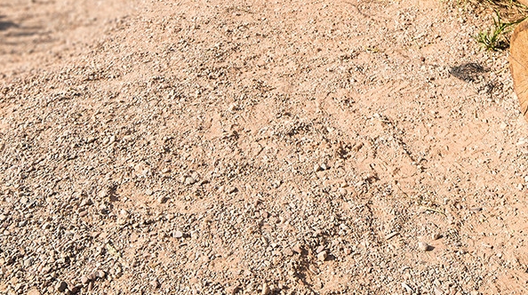 粉象生活现在还可以做么