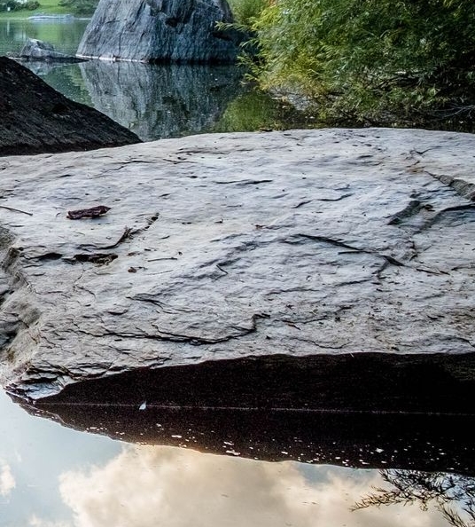 安徽一站式粉象生活推广