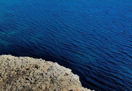 如何用粉象生活