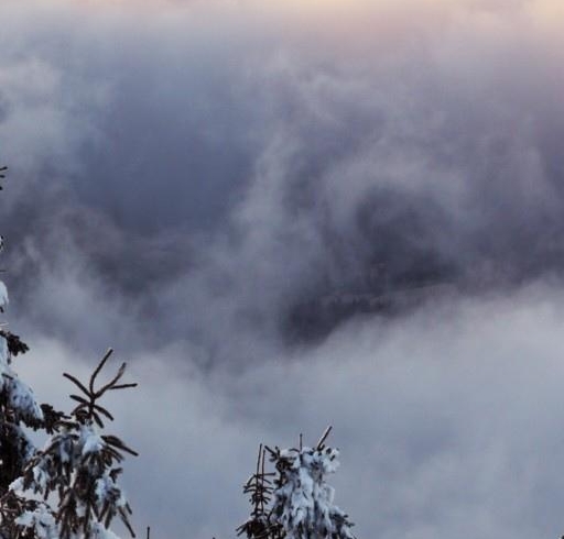 哪个是粉象真正的官网邀请码