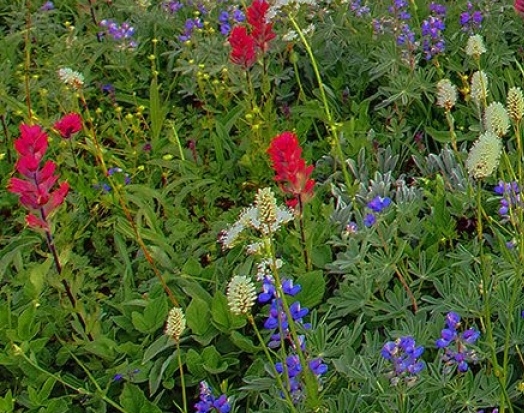 粉象生活邀请码填谁的最好