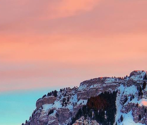 消费订单号怎么查询系统