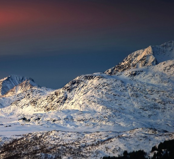 粉象生活商城活动怎么参加