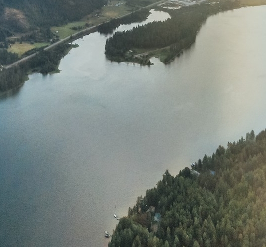 粉象生活怎么填别人的邀请码