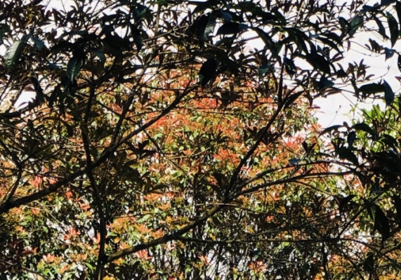 粉象是什么平台