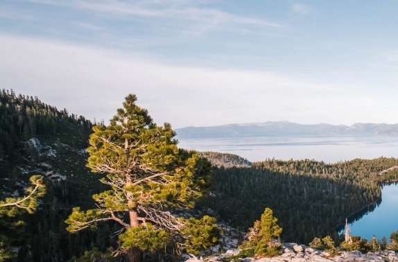 粉象生活赚钱教程
