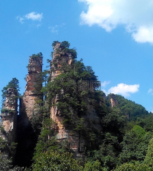 粉象生活日推广50人