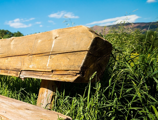 粉象生活的利弊