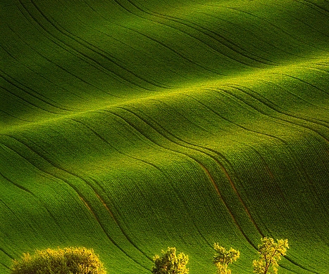 下载粉象生活可靠吗