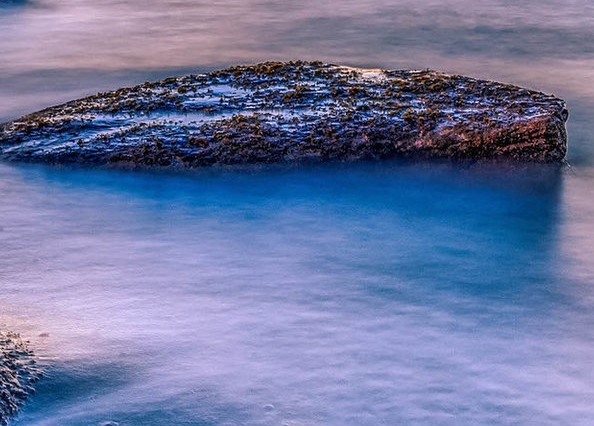 粉象生活分现金页面截图