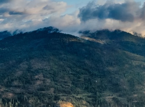 粉象生活宝妈如何挣钱