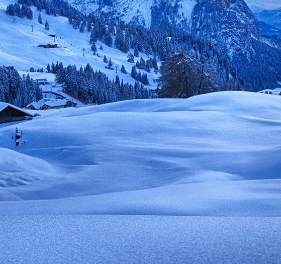 粉象生活需要每天发货吗