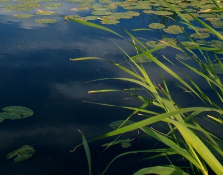 粉象生活每天有什么活动