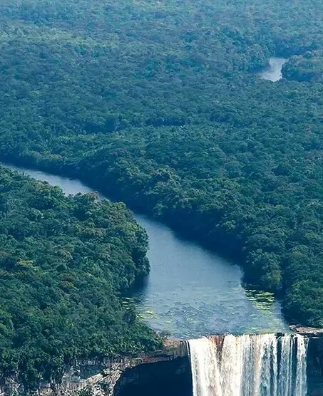 非生活消费怎么投诉