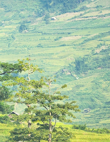 粉象生活怎么结算