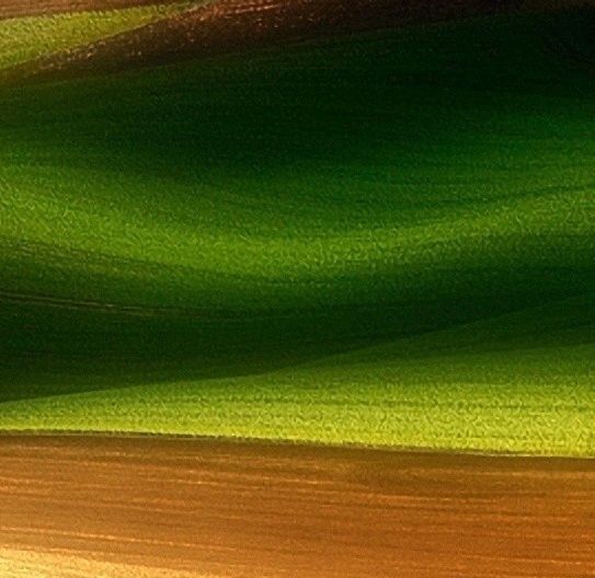 粉象生活头像可以修改吗