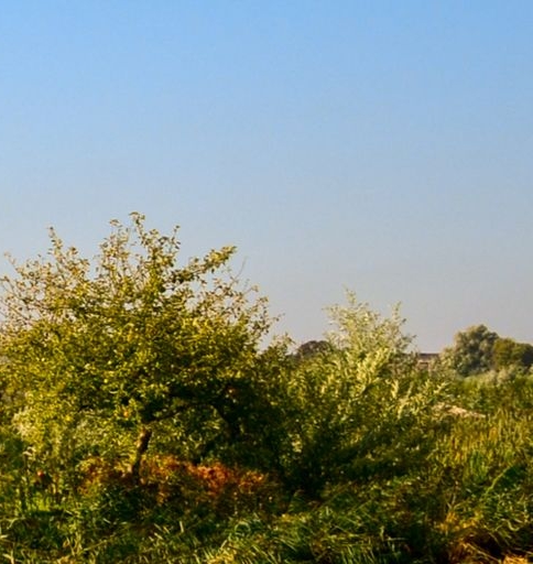 粉象生活怎么授权拼多多