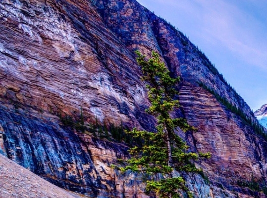 粉象生活怎么赚钱的