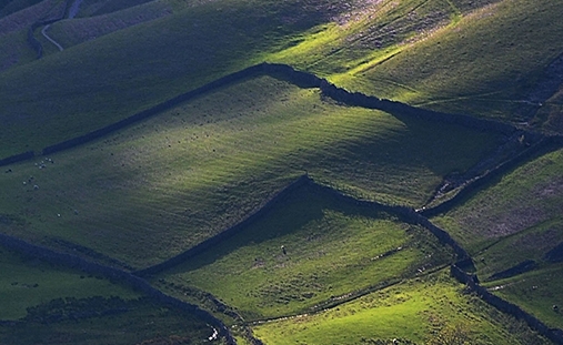 拼多多生活缴费在哪