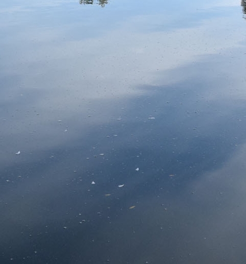 粉象生活怎么看排行榜