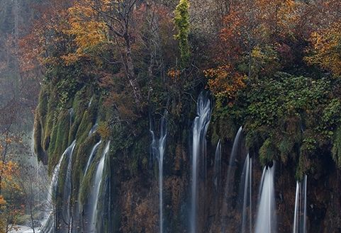 粉象生活怎么做任务