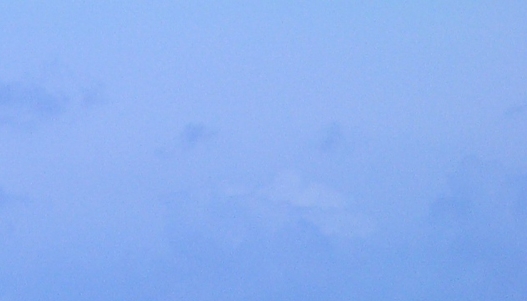 粉象生活怎么结算佣金的