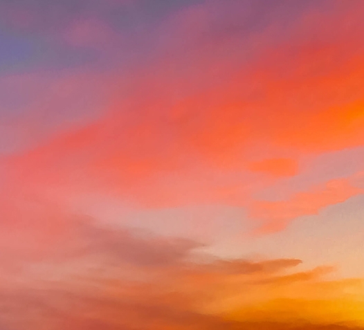 粉象生活是什么?