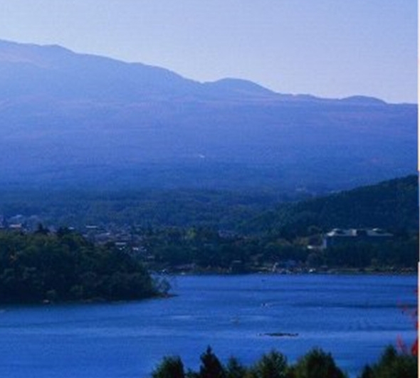 粉象生活月入几万是真的吗