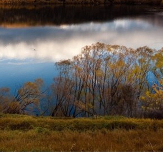 粉象生活合伙人
