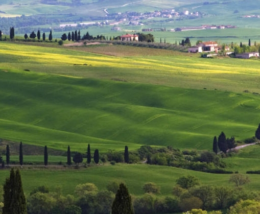 粉象生活怎么赚钱的