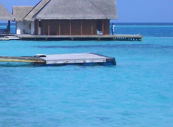 粉象生活真的能赚那么多钱吗