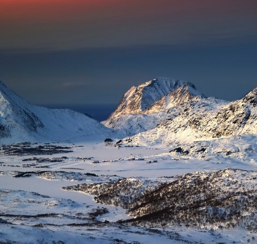 粉象生活可以发布什么产品