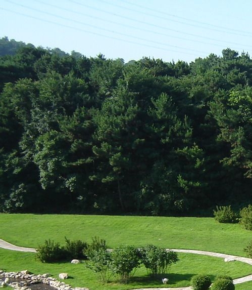 粉象生活怎么加入好友