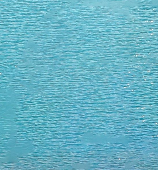 粉象生活商家收费