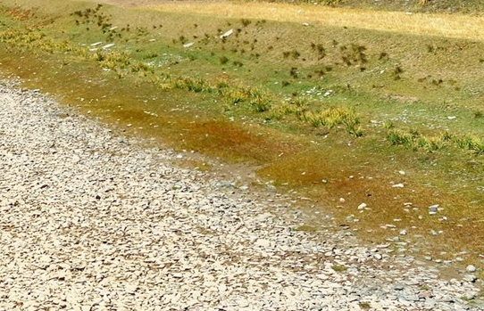 粉象生活合作品牌粉象生活