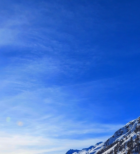 镇江粉象生活收入