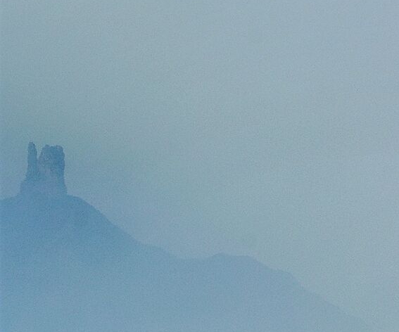 粉象生活怎么找淘宝