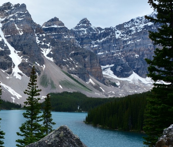 粉象生活邀请码