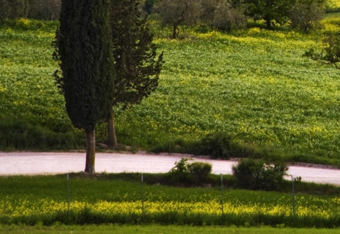 粉象生活怎么买到0元商品