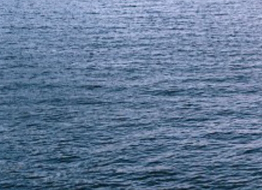 粉象生活需要发朋友圈吗